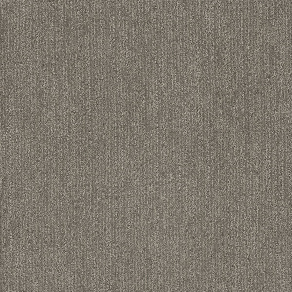 Smooth Sailing - City View