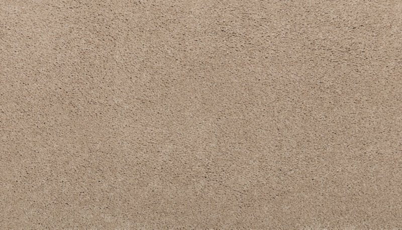 Mohawk Flooring Luxuriant Touch I