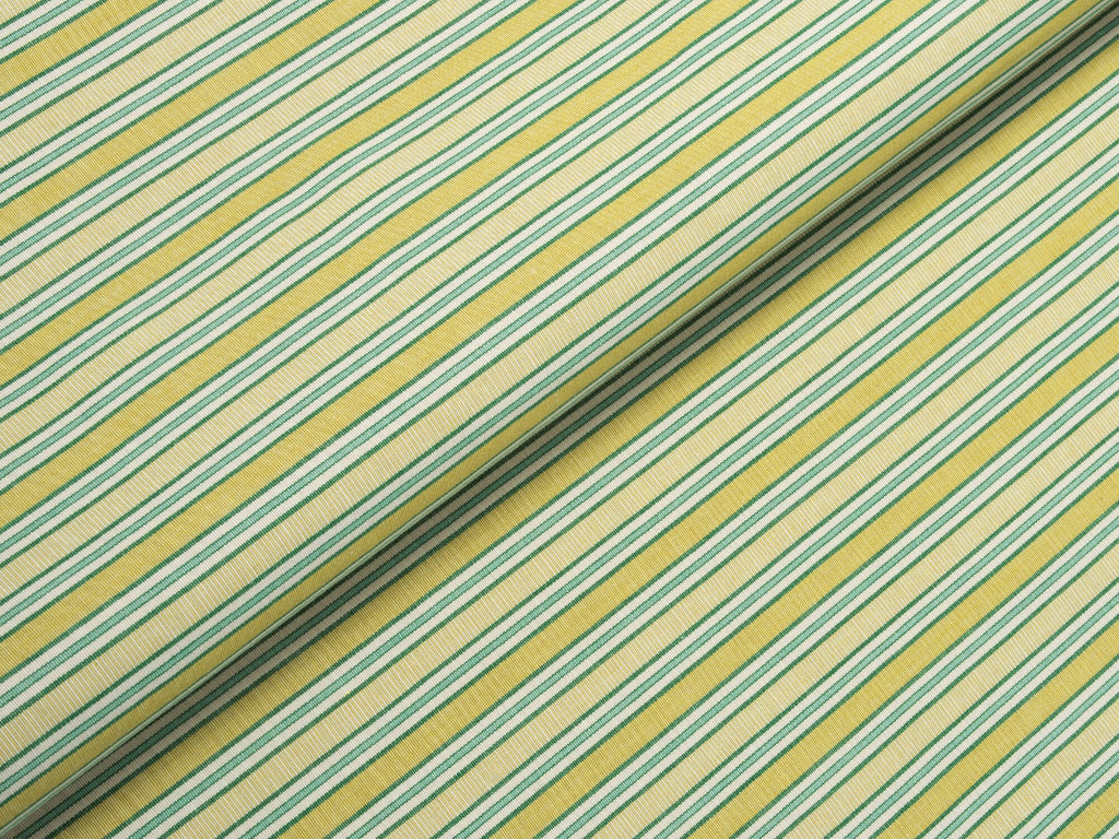 Cape-Palm