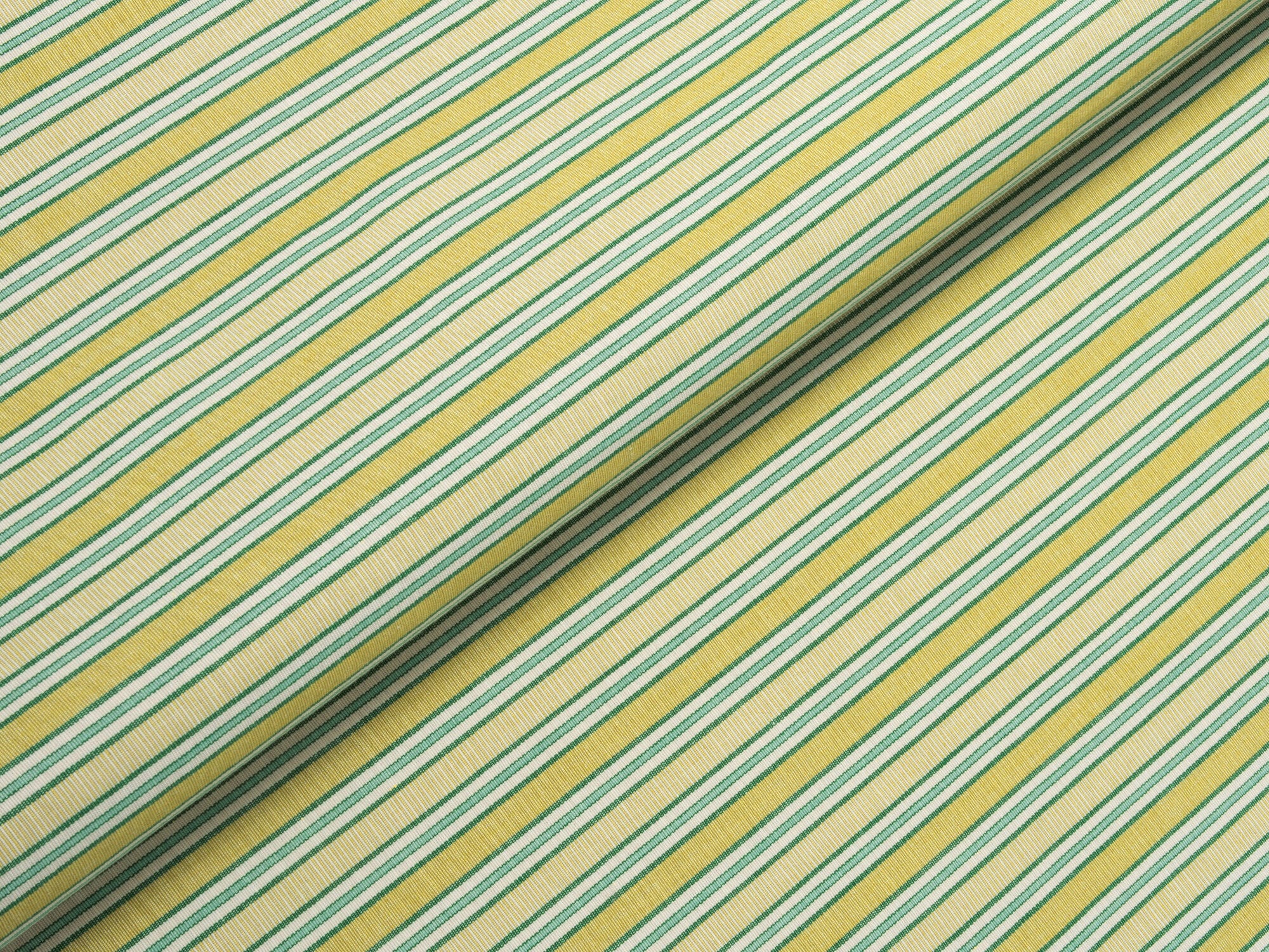 Cape-Palm