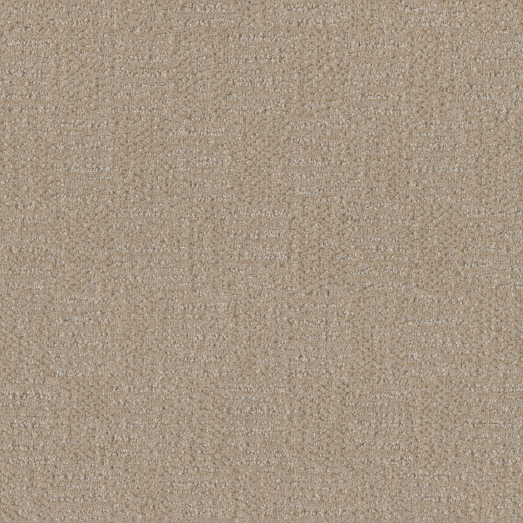 Classic Elements - Frosted Coconut