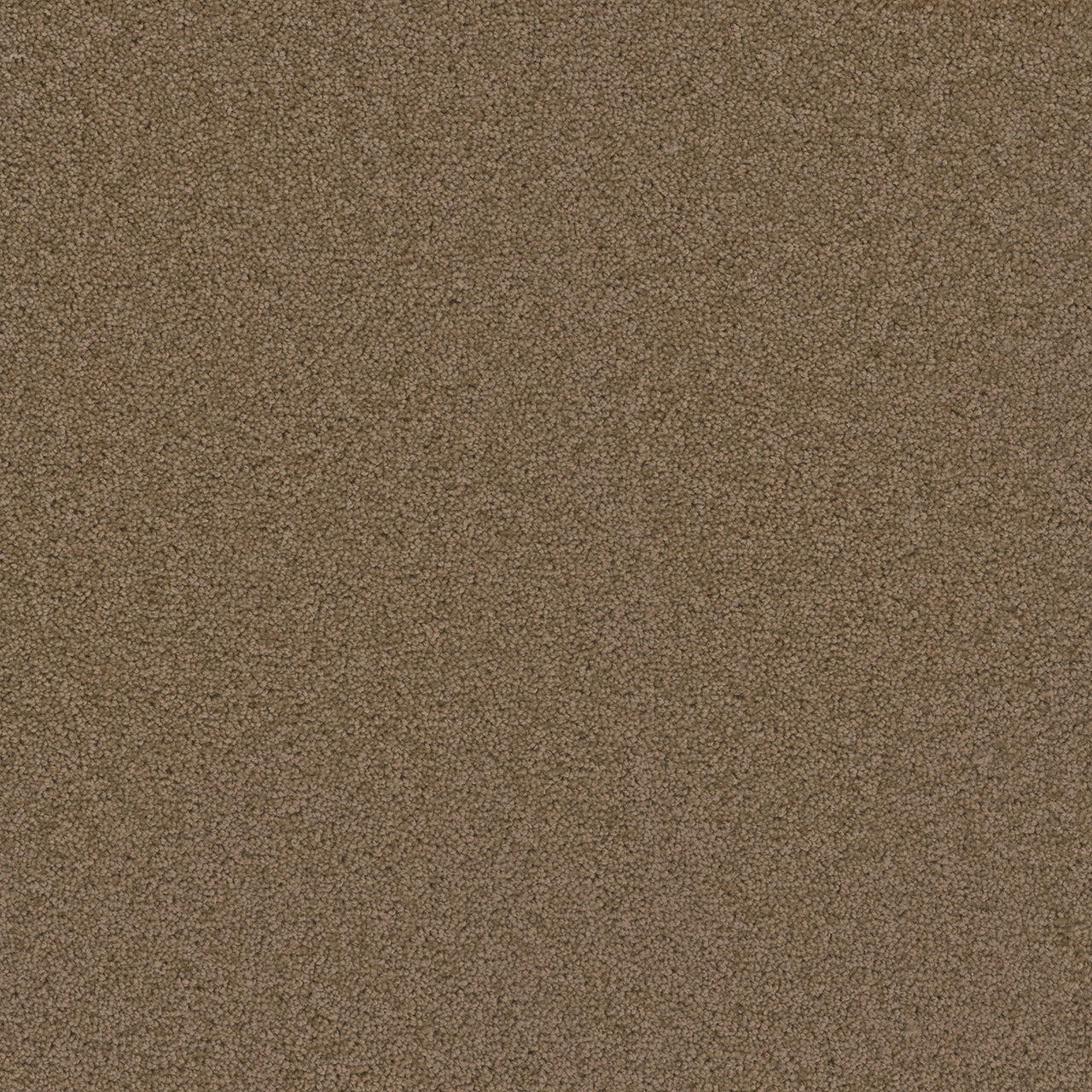 BROADCAST - Honey Beige