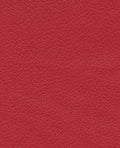 Brisa - Rose Red - 1344 #1