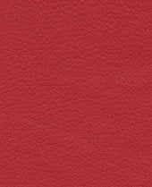 Brisa - Rose Red - 1344 #1