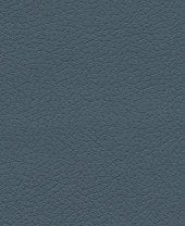 Brisa - Cambridge Blue - 2645 #1