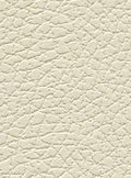 Brisa - Birch - 3019 #1