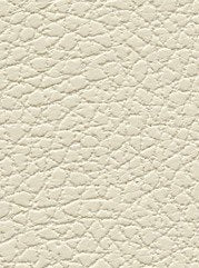 Brisa - Birch - 3019 #1