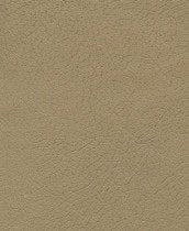 Brisa - Ginger - 3051 #1