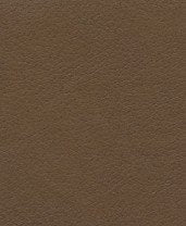 Brisa - Peat - 3200 #1