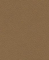 Brisa - Caramel - 3591 #1