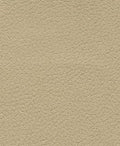 Brisa 33-3864 - Desert Clay #1