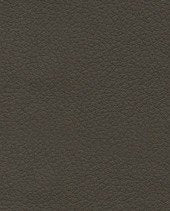 Brisa 33-3913 - Truffle #1