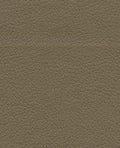 Brisa 33-3914 - Bark #1