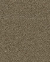 Brisa 33-3914 - Bark #1