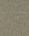 Brisa 33-3915 - PUtty #1