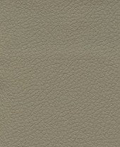 Brisa 33-3915 - PUtty #1