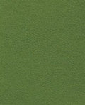 Brisa 33-4448 - Apple Green #1