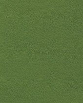 Brisa 33-4448 - Apple Green #1