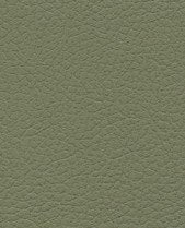 Brisa 33-4487 - Sage #1