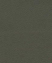 Brisa 33-4488 - Olive #1