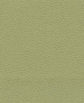 Brisa 33-4510 - Celery #1