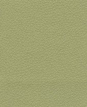 Brisa 33-4510 - Celery #1