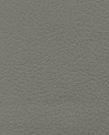 Brisa 33-5802-Ash #1