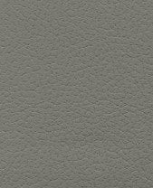Brisa 33-5802-Ash #1