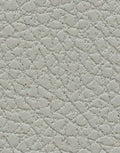 Brisa 33-5820 - Quicksilver #1