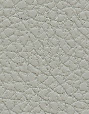 Brisa 33-5820 - Quicksilver #1