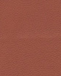Brisa 33-8245 - Cinnabar #1