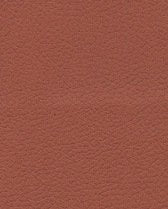 Brisa 33-8245 - Cinnabar #1