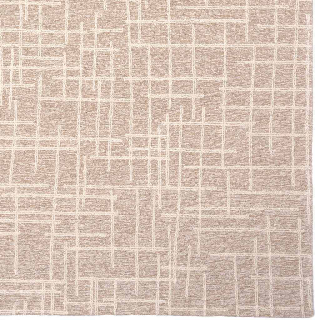 Lineas Canvas