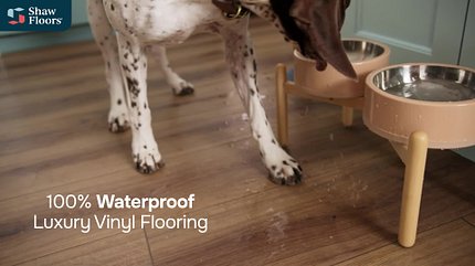 BRIARD FLAX OAK Briard 3128v Style Video