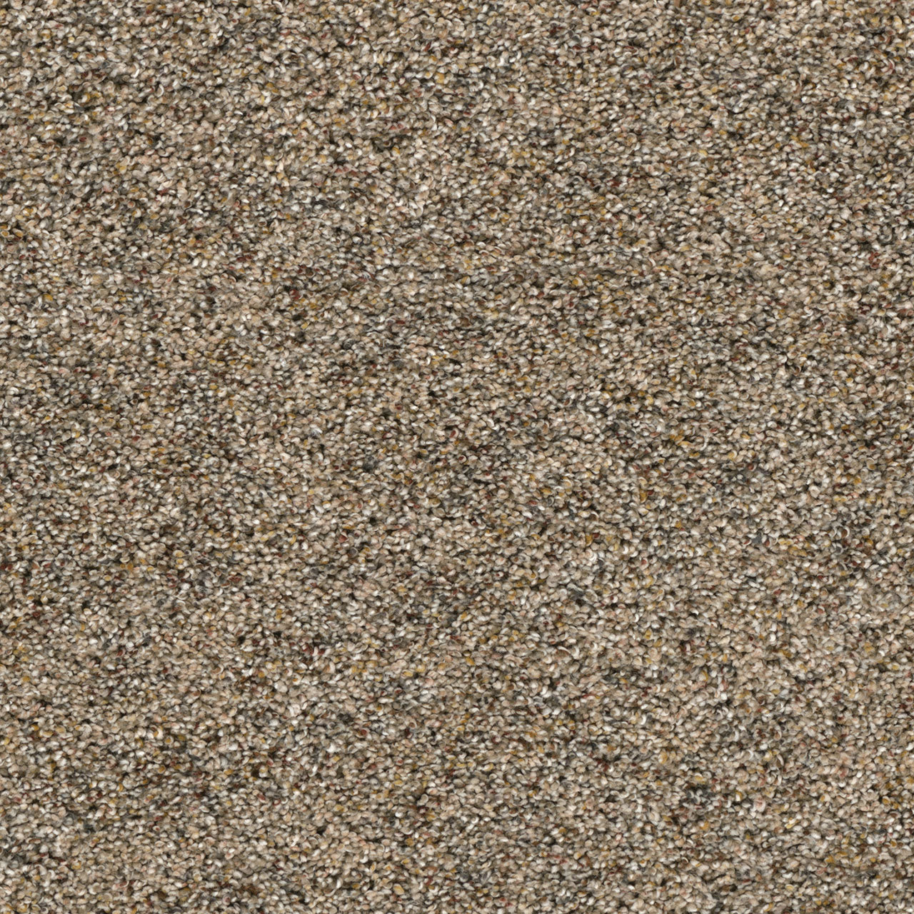 Confetti I - Harmonic Tan