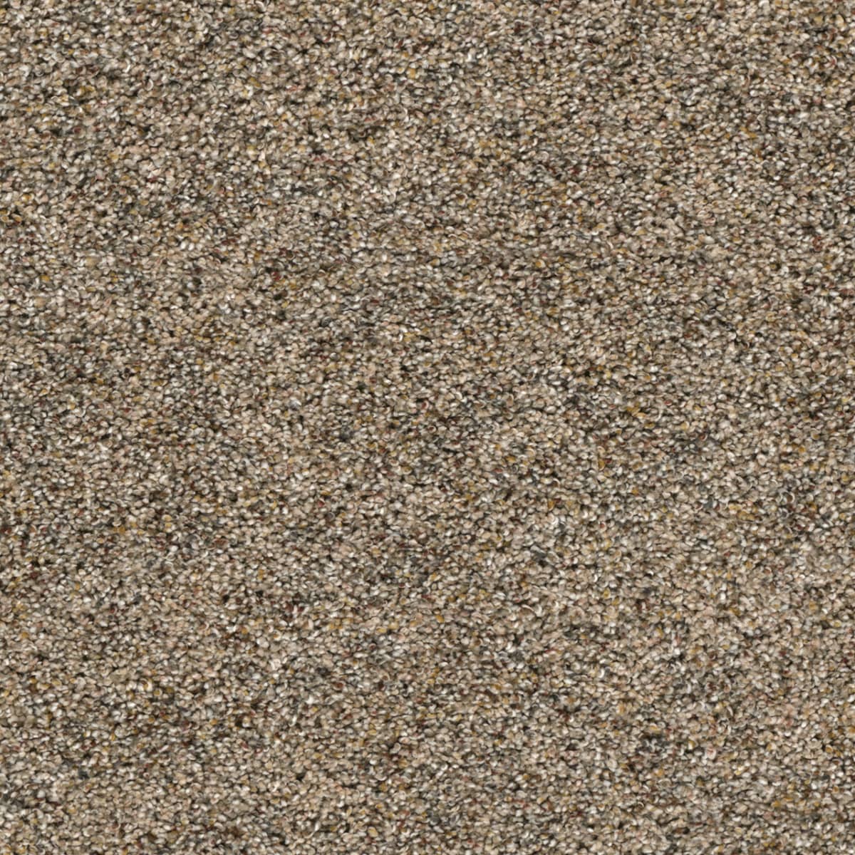 Confetti III - Harmonic Tan