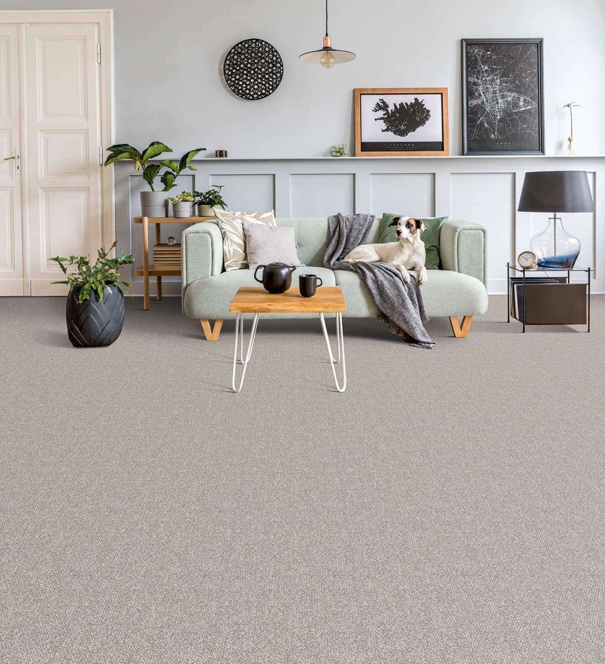 Interstellar Carpet