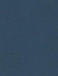 Brisa - Blue Sea - 2621 #1