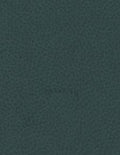 Brisa 33-4303 - Seaweed #1