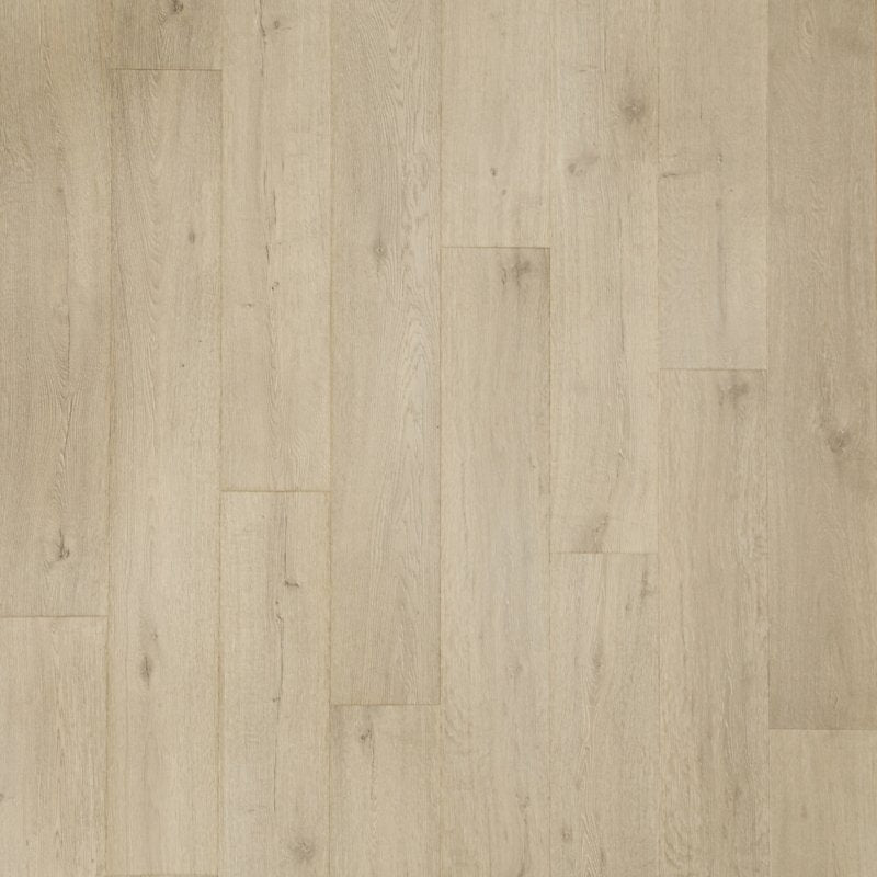 Mohawk Flooring Bellente