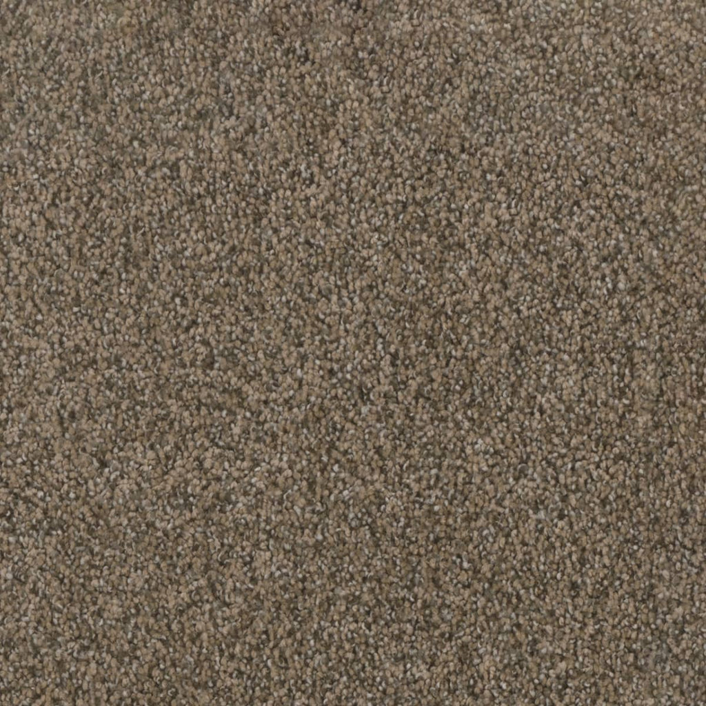 Trendsetter I - Smokey Taupe