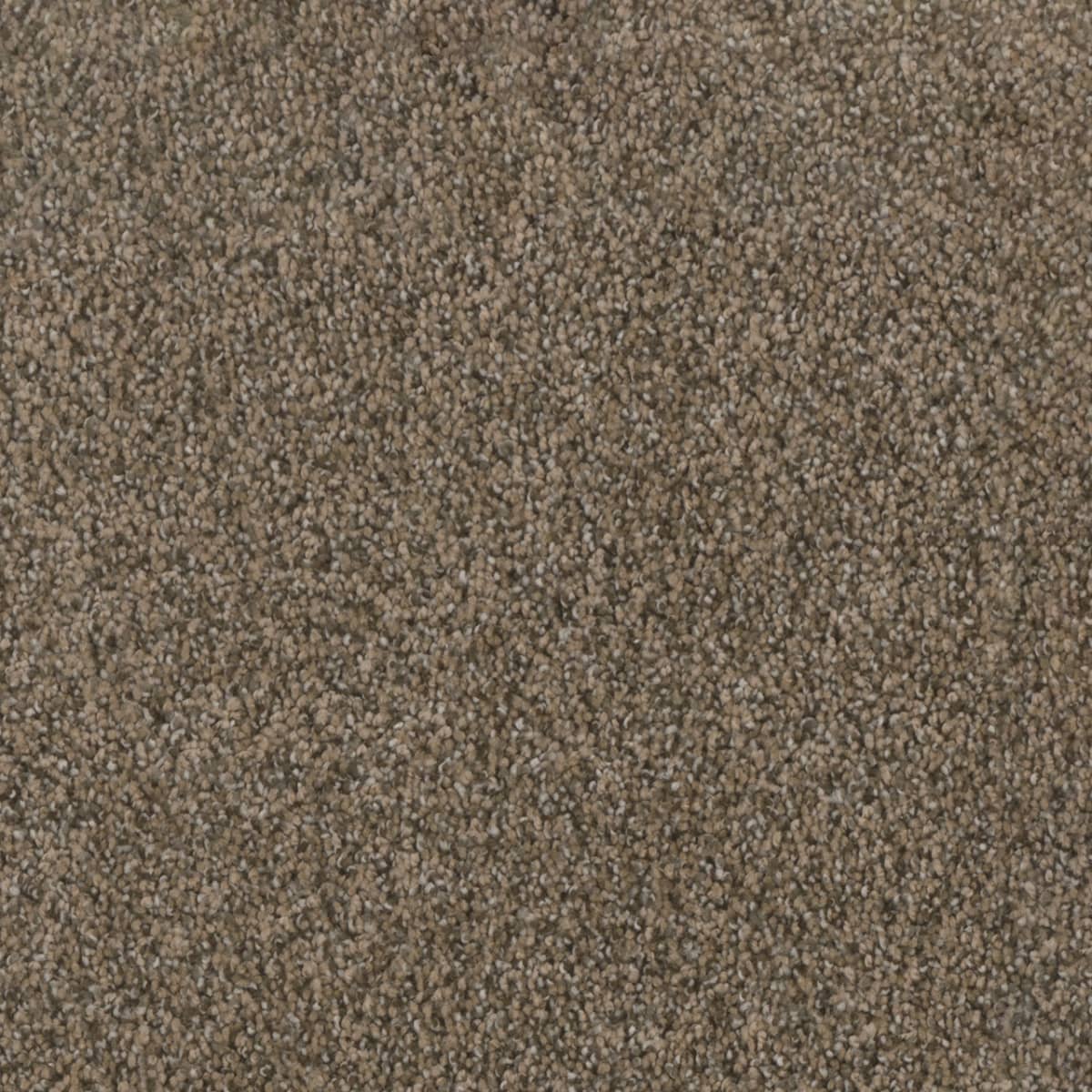 Trendsetter I - Smokey Taupe