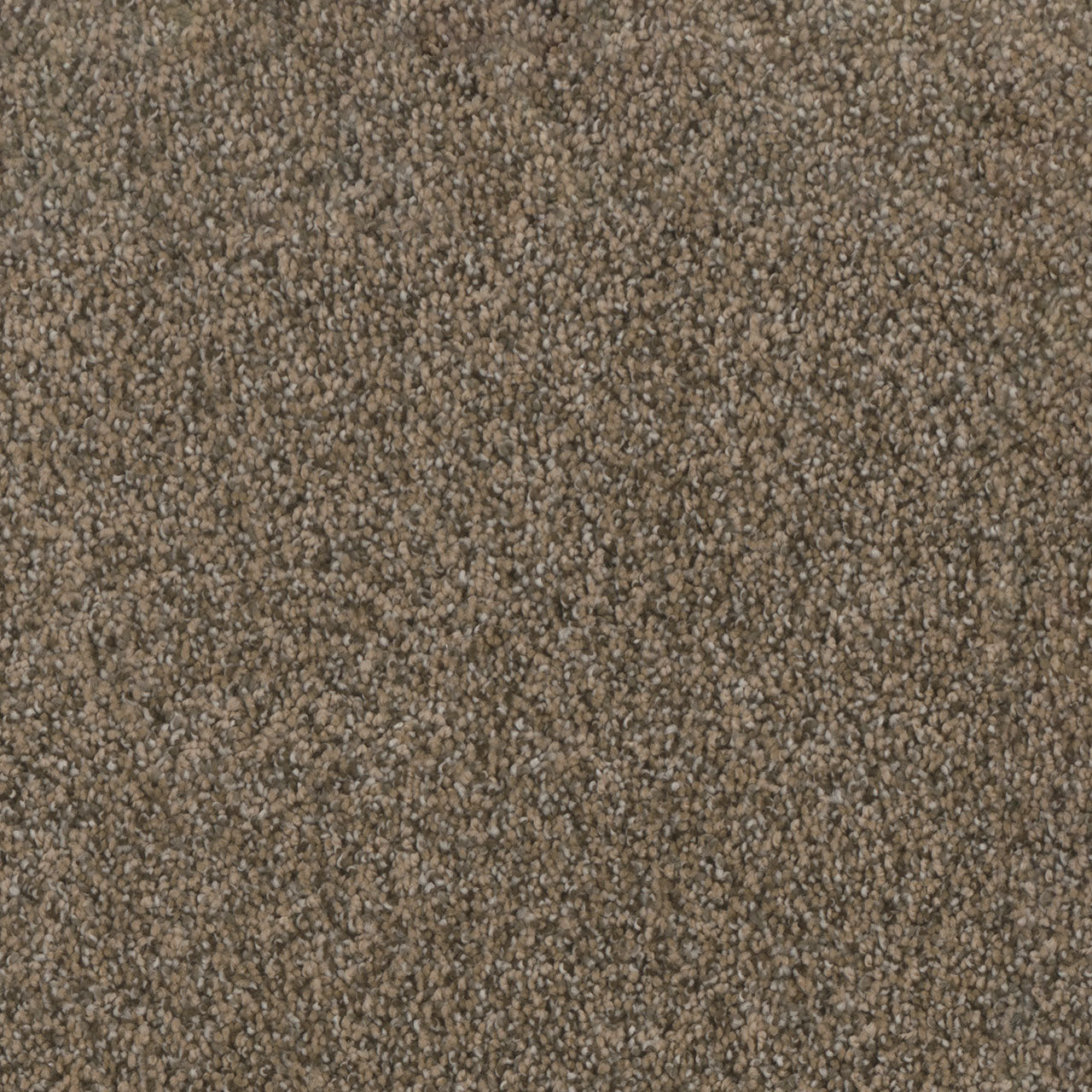 Trendsetter II - Smokey Taupe