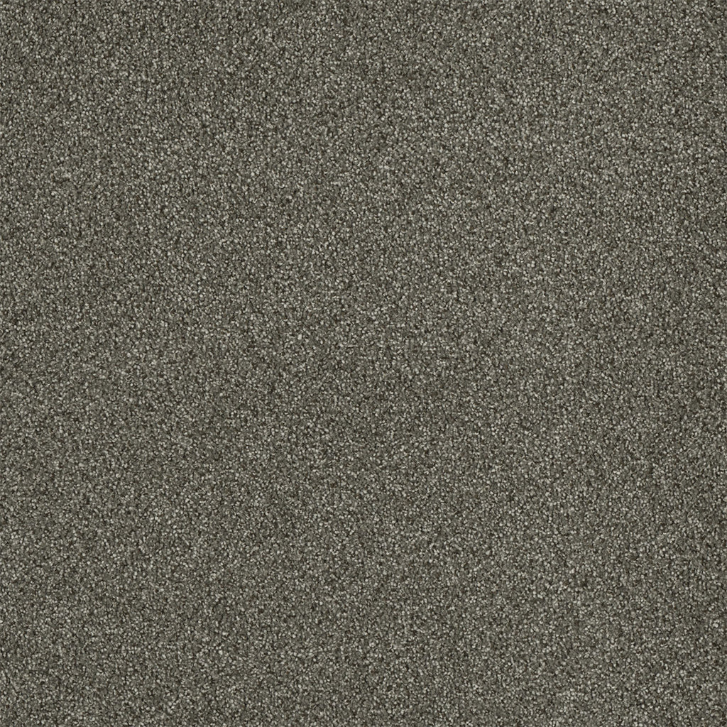 Malibu I - Baltic Birch
