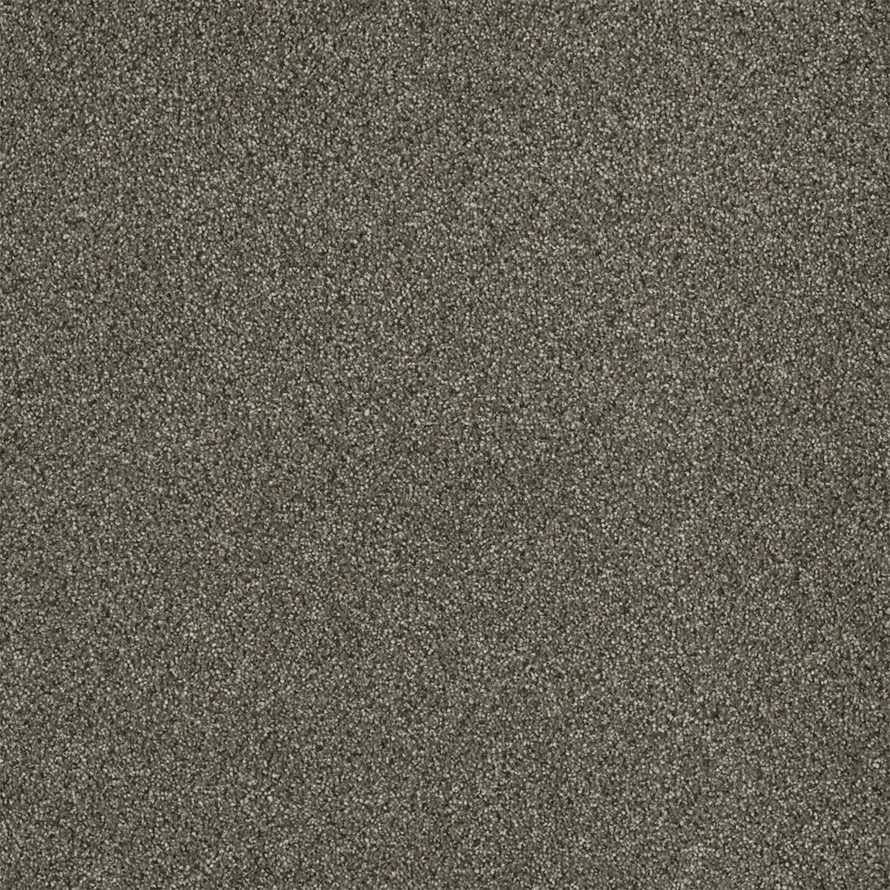 Malibu I - Baltic Birch