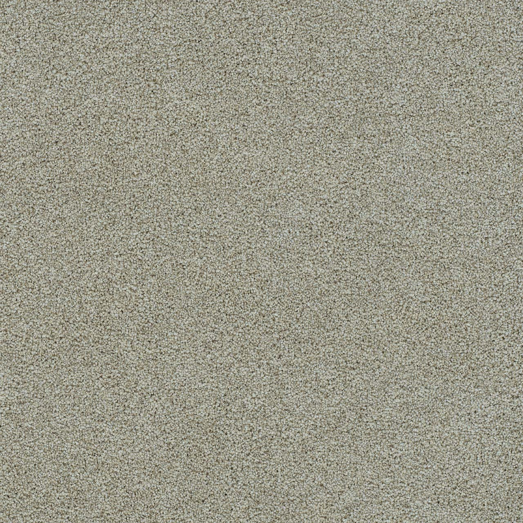 Morning Glory II - French Silk