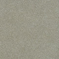 Morning Glory III - French Silk