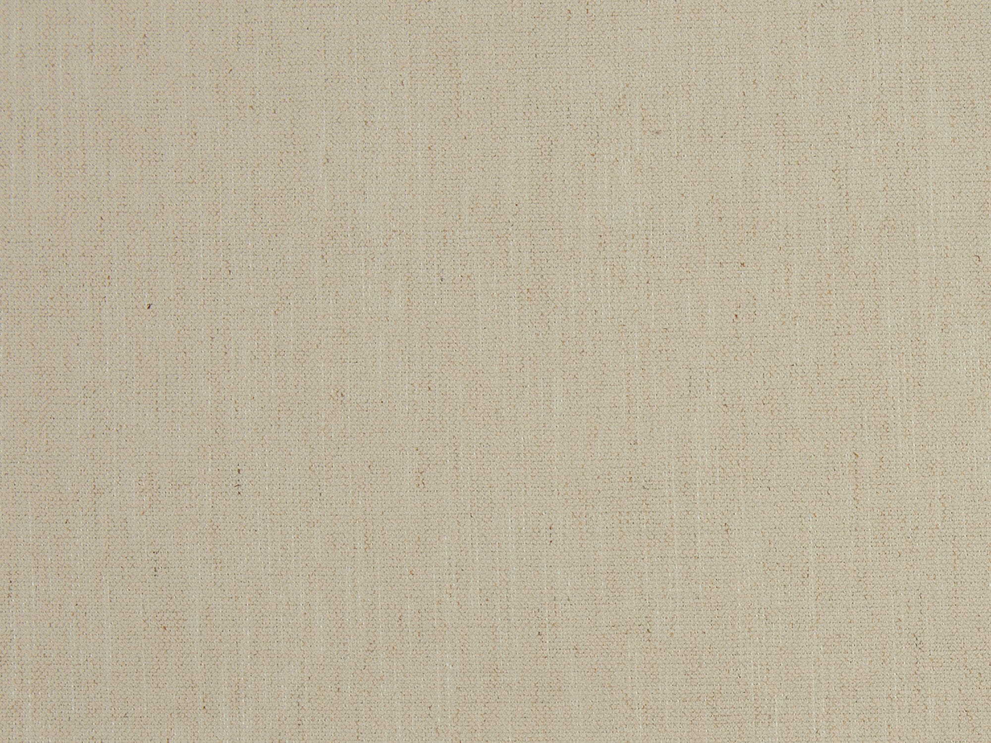 Taylin Eggshell Image 3