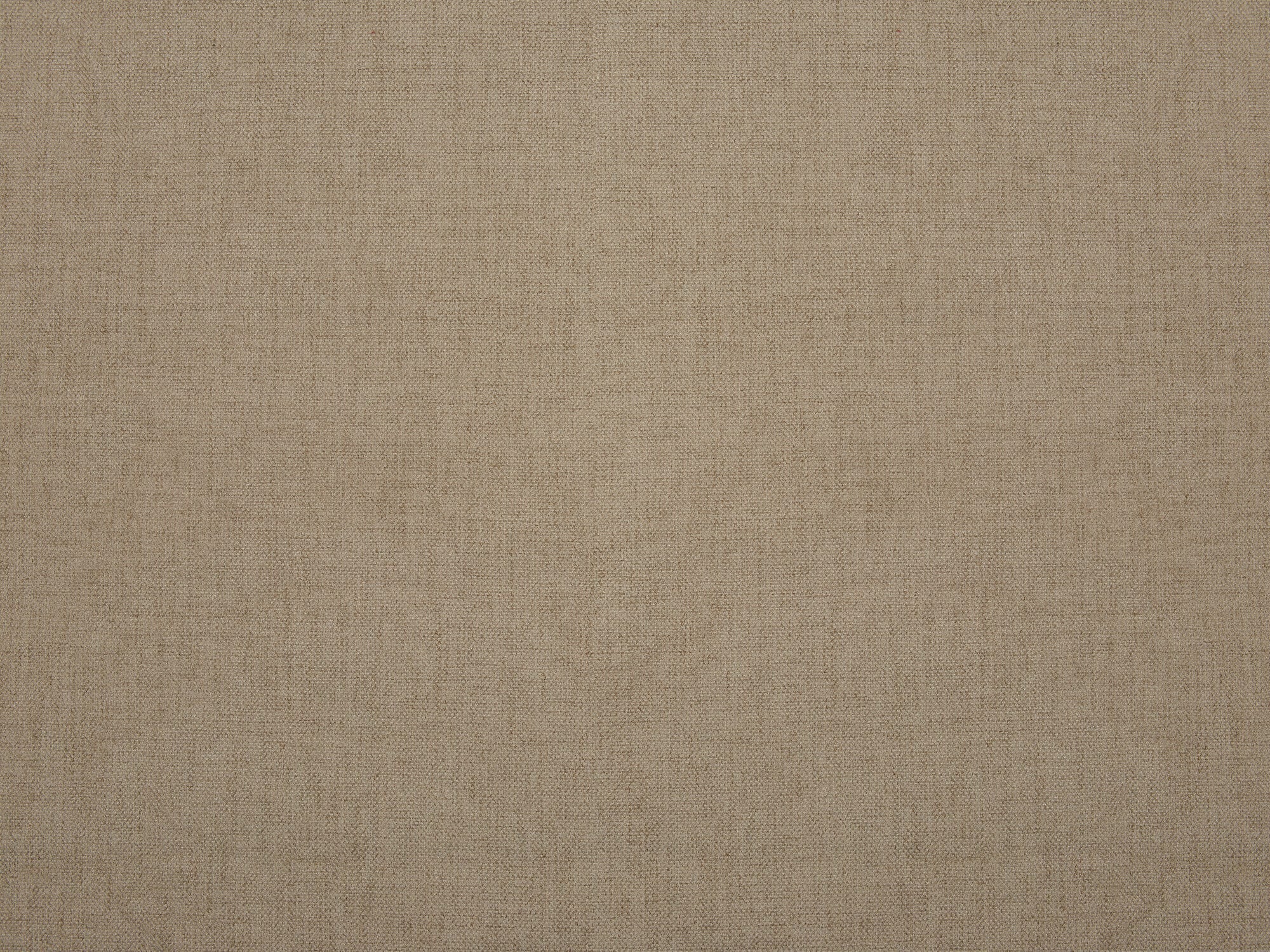 Willarae/L-Cashew