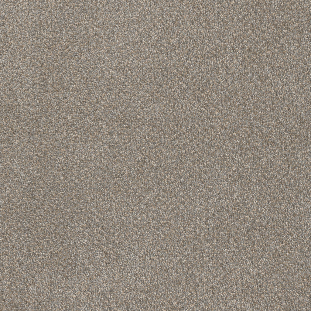 Star Struck - Ancient Marble